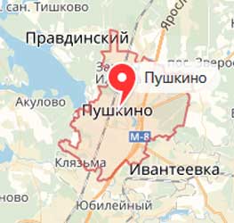 Карта: Пушкино